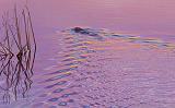 Sunset Beaver_07852